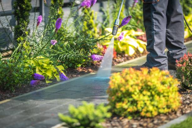 Reliable Dayton, WA Pressure Washing Services Solutions